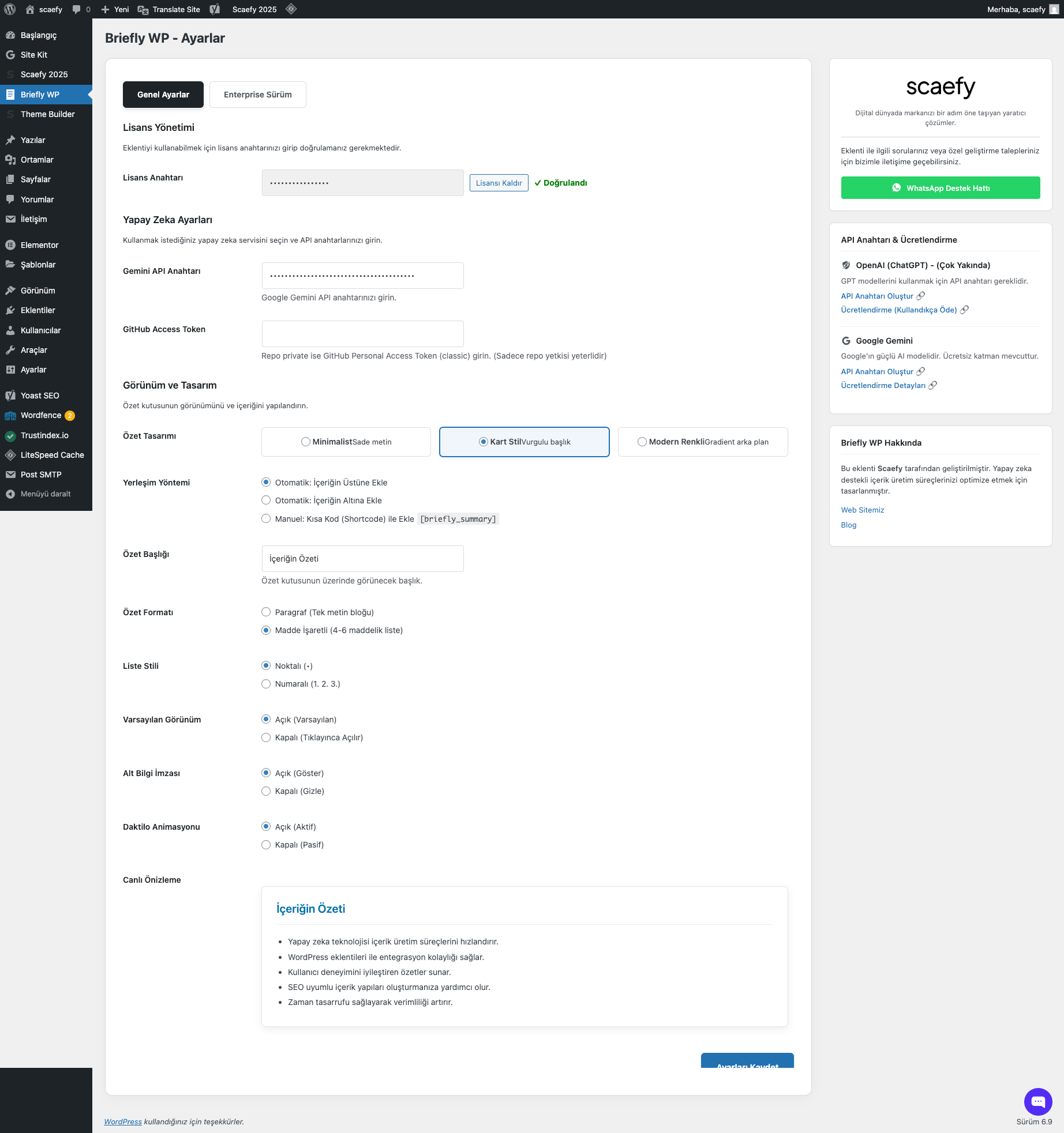 Briefly WP Yönetim Paneli